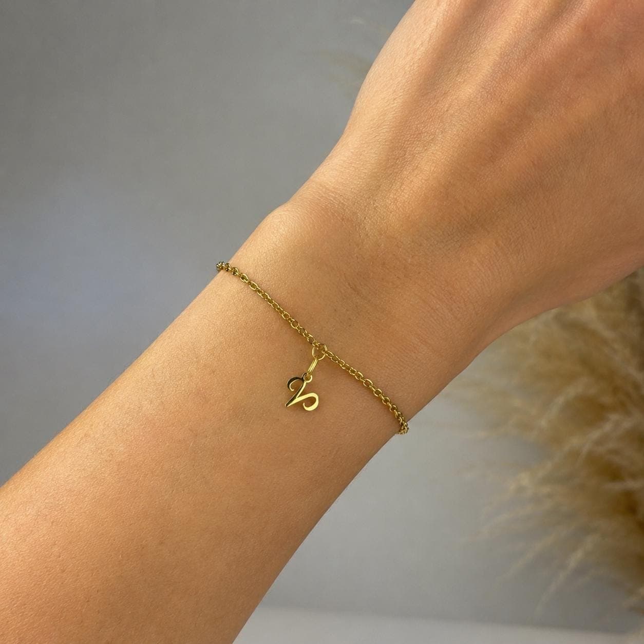 Zodiac Charm Bracelet