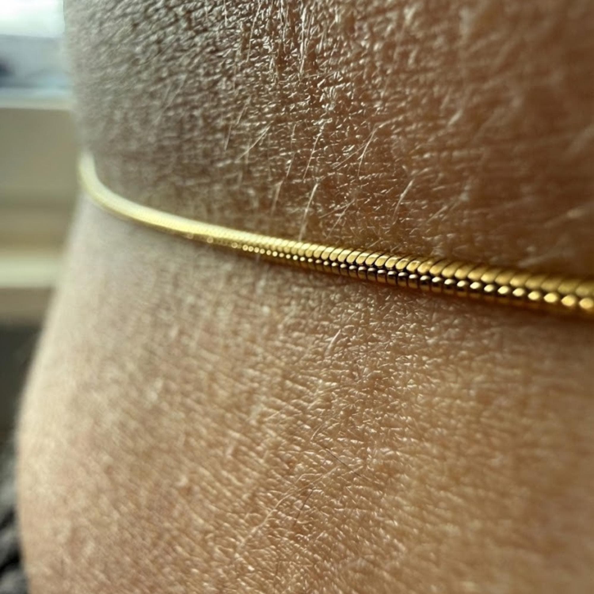 Zodiac Snake Belly Chain